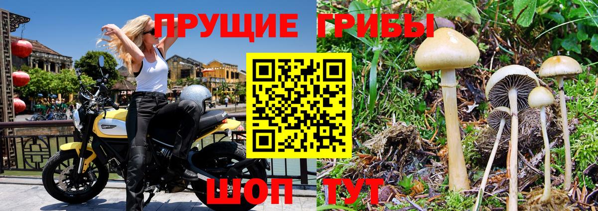 Галлюциногенные грибы MAGIC MUSHROOMS Уссурийск