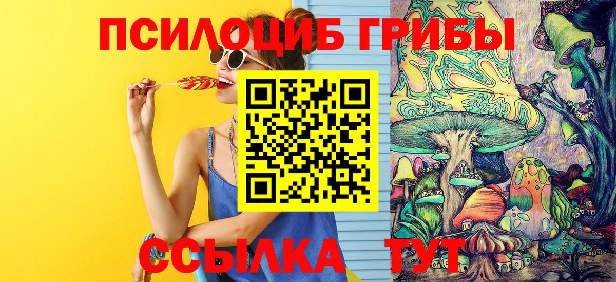 Уссурийск  Галлюциногенные грибы Cubensis  закладки  Псилоцибиновые грибы ЛСД  Вход с VPN 